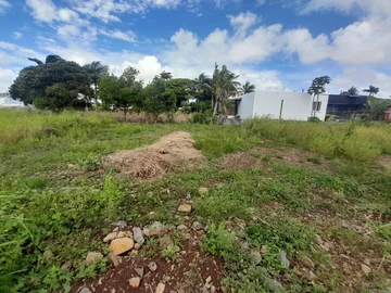 Land