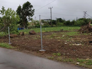 Commercial Land