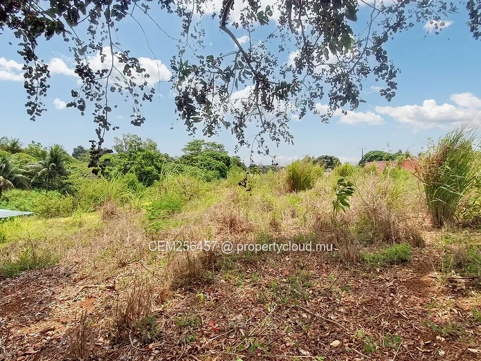 Agricultural Land For Sale – 88 Perches in Highlands, convertible to Residential
