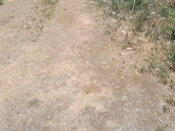 Residential Land