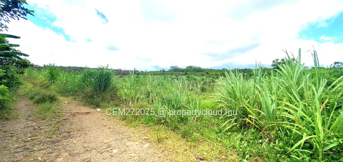 Agricultural Land for Sale in Beau Climat, South – Prime Plot for Cultivation!