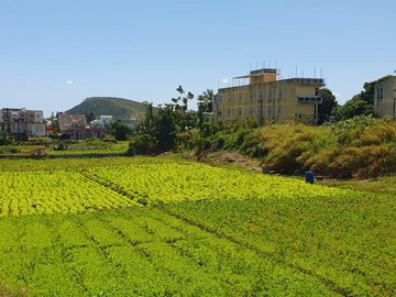 Residential Land