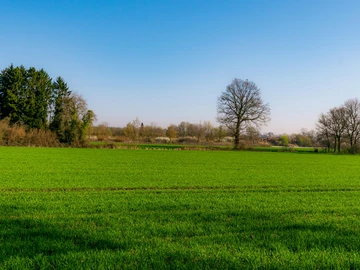 Residential Land