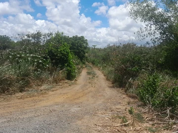 Residential Land