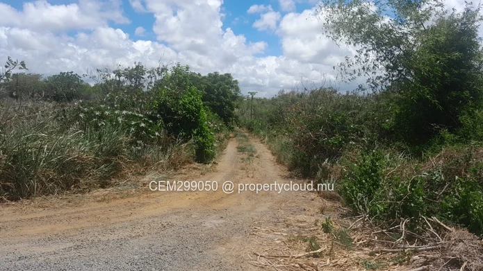 4 arpent Residential Land for Sale - Mont Mascal