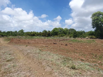 Residential Land