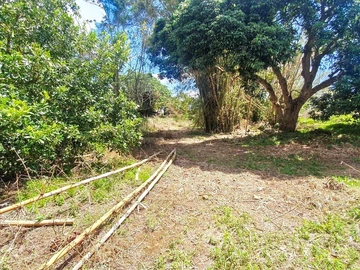 Residential Land