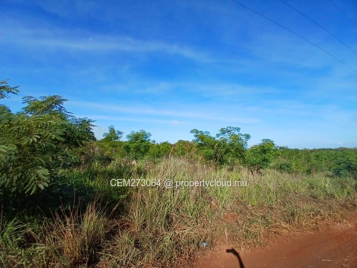 Agricultural Land for Sale – Large Plot in St Joseph, Arsenal, Terre Rouge