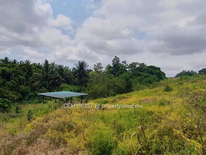 Agricultural Land For Sale – 88 Perches in Highlands, convertible to Residential