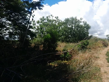 Residential Land