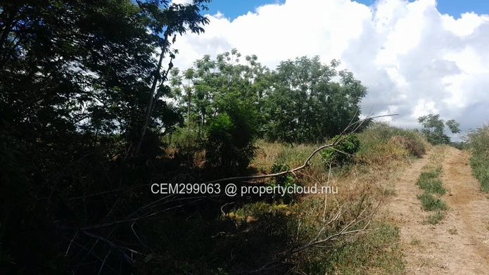 3.75 arpent beachfront land for sale in Panchavati - Île d’Ambre