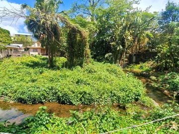 Residential Land