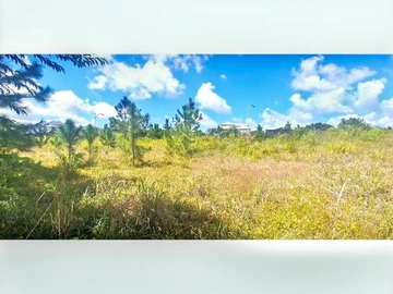 Residential Land