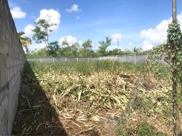 Residential Land