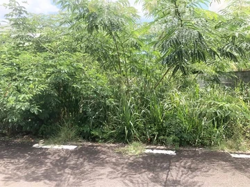 Residential Land