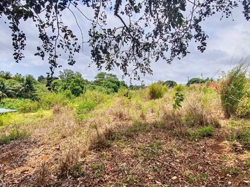 Commercial Land