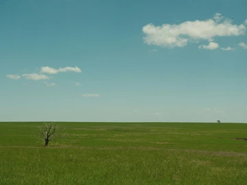 Residential Land