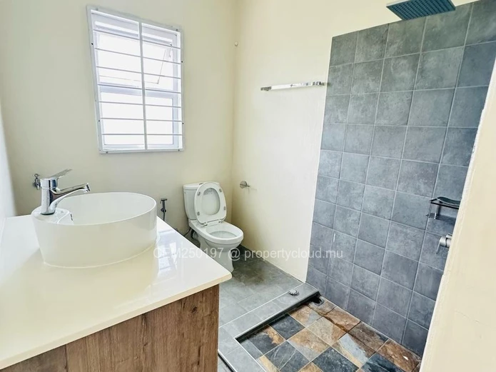 New villa with swimming pool for sale in Pereybere