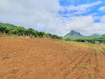 Agricultural Land