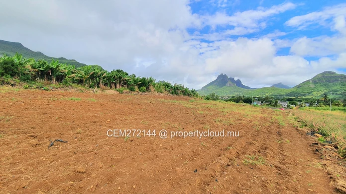 Agricultural Land for Sale – 233 Perche(s), Long Mountain, North