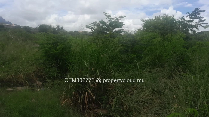 17-Arpent Agricultural Land for Sale – Petite Rivière | Directly on B31 Road 