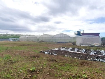 Agricultural Land
