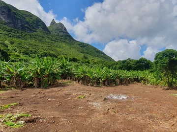 Residential Land