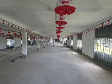 Commercial Property