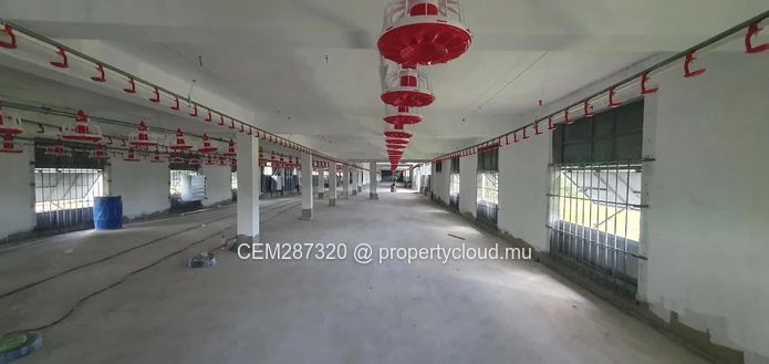Fully Equipped Poultry Farm For Sale – La Martinière, Chamouny 