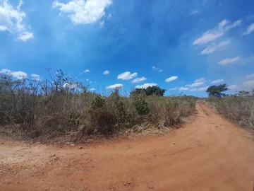 Land