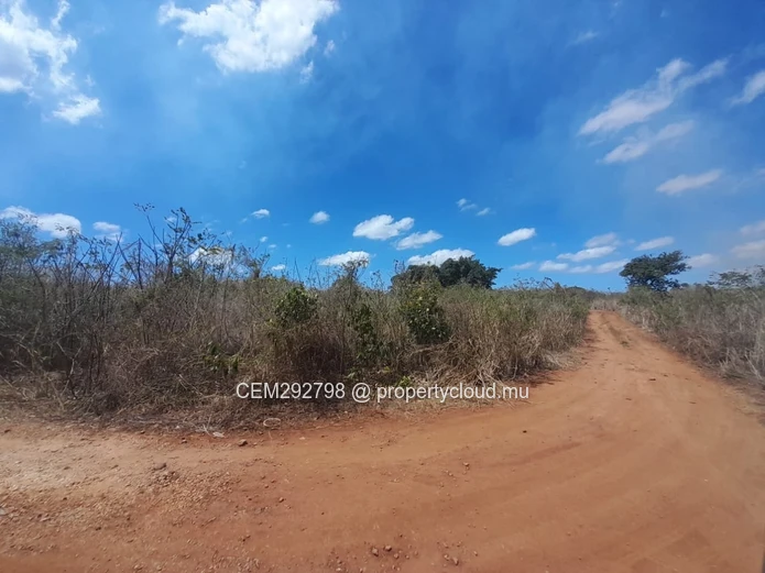 3 Arpents + 50 perches Beachfront Land For Sale – Balaclava