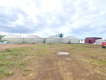 Agricultural Land