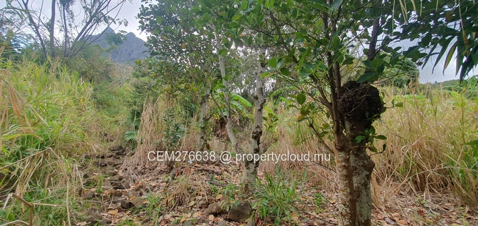 Hillside Agricultural Land for Sale – Shrimati Indira Gandhi Street, Crève Coeur