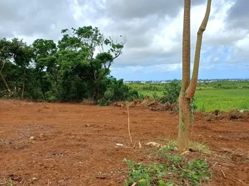 Residential Land