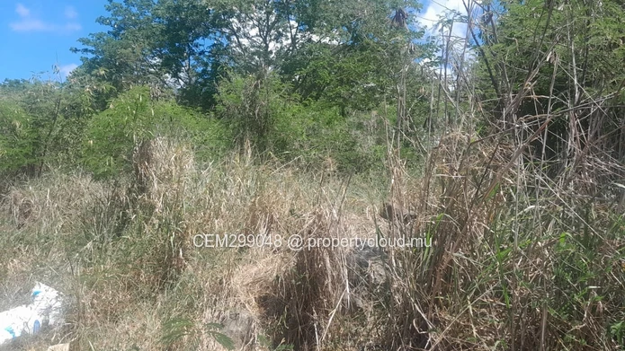 4 arpent Agricultural Land for Sale in Grand Baie