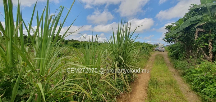 Agricultural Land for Sale in Beau Climat, South – Prime Plot for Cultivation!