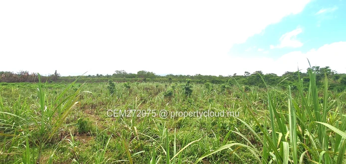 Agricultural Land for Sale in Beau Climat, South – Prime Plot for Cultivation!