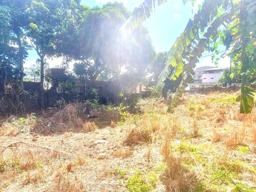 Land