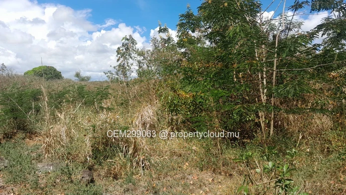 3.75 arpent beachfront land for sale in Panchavati - Île d’Ambre