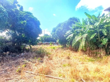 Land