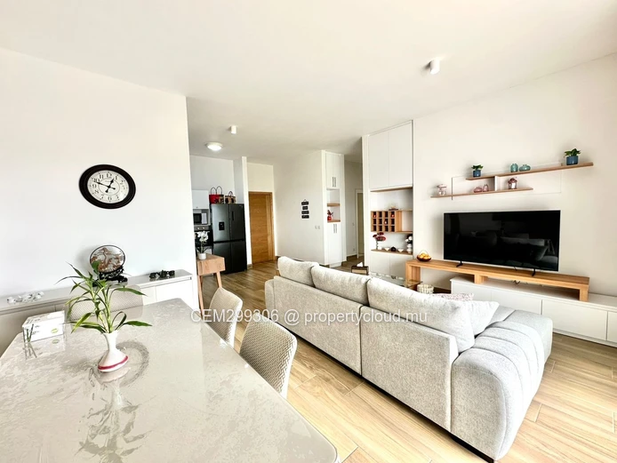 Furnished Skyline Penthouse for Rent , Rose-Hill