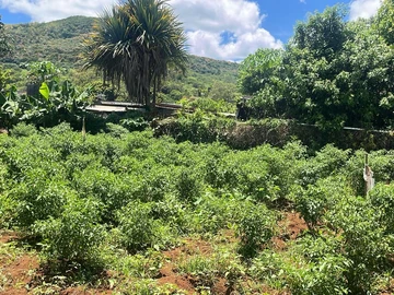Residential Land