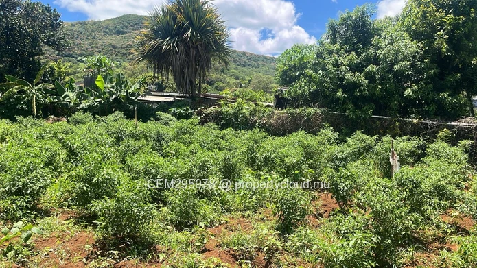 50 Perches Residential Land For Sale in Congomah, Pamplemousses