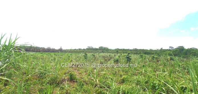 Agricultural Land for Sale in Beau Climat, South – Prime Plot for Cultivation!