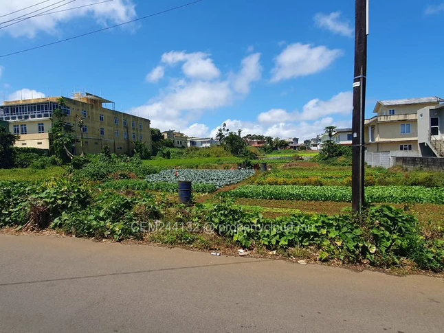 Land for sale at Clairfonds, Vacoas
