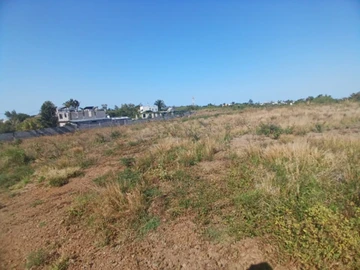 Residential Land
