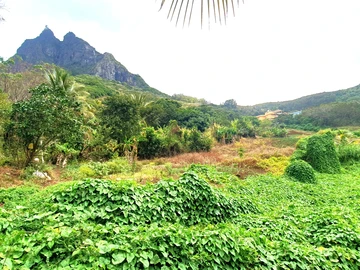 Agricultural Land